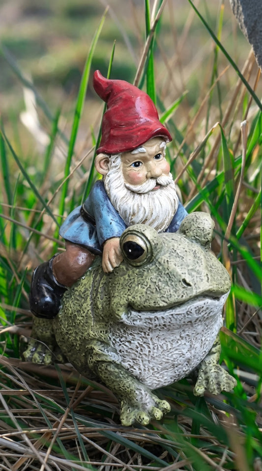 Resin gnome riding frog garden statue, red hat and blue jacket gnome seated on large green frog, 6 inches tall, garden border setting