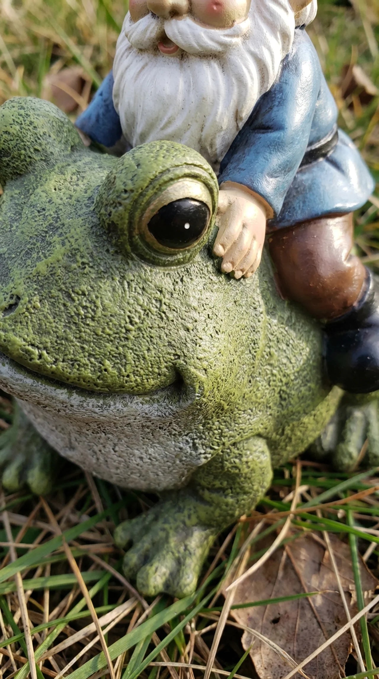 Close-up of Fergus and the Frog ornament showing hand-painted frog skin texture detail, gnome facial expression, and red hat and blue jacket finish