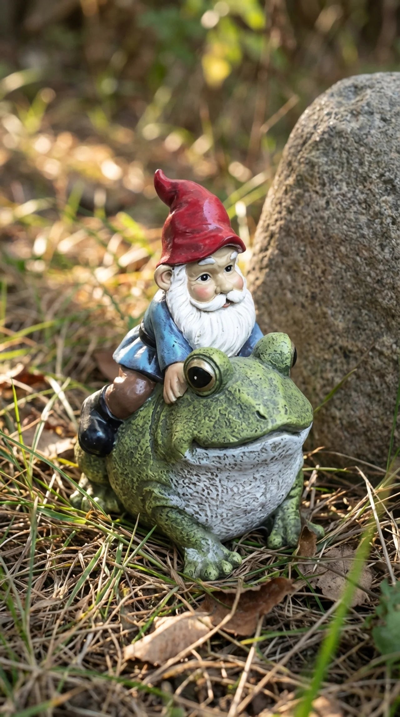 Gnome figurine sitting on a frog in a natural setting with grass and a rock.