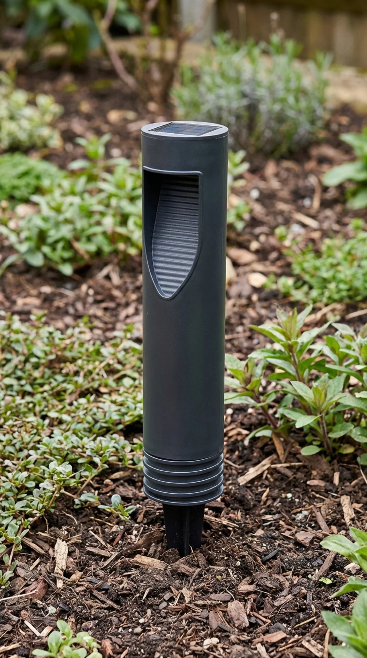 Gray garden solar light in a garden setting with plants and soil.