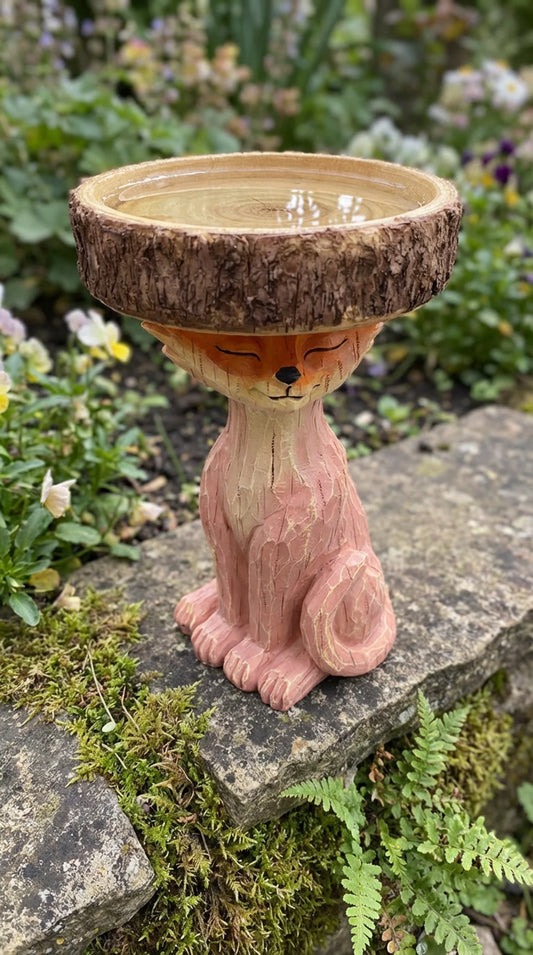 The Patient Fox - Fox Bird Bath Garden Statue